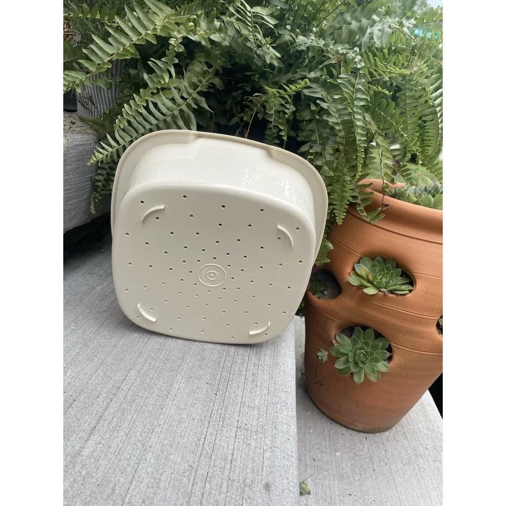 VINTAGE Tupperware #887-10 Replacement Steamer Insert Almond Cream Steam & Store